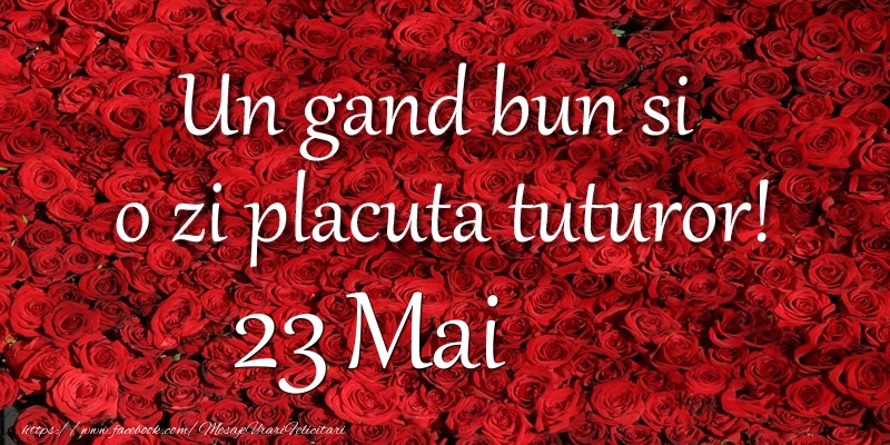 Felicitari de 23 Mai - Un gand bun si  o zi placuta tuturor! Mai 23