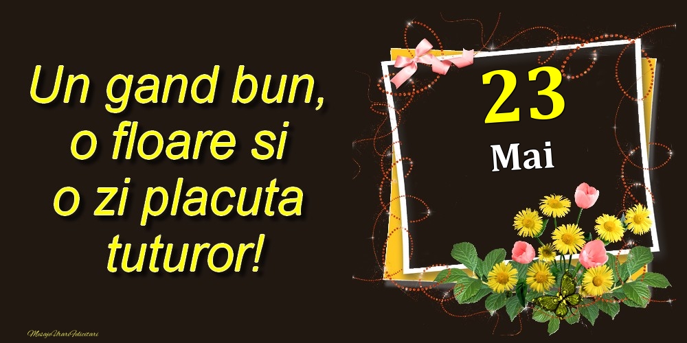 Felicitari de 23 Mai - Mai 23 Un gand bun, o floare si o zi placuta tuturor!