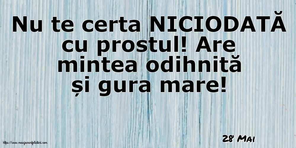 Felicitari de 28 Mai - 28 Mai - Nu te certa NICIODATĂ cu prostul!