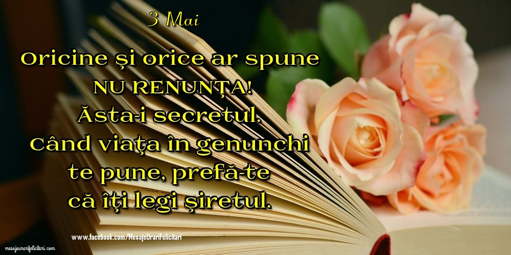 3 Mai - Oricine şi orice ar spune NU RENUNŢA! Ăsta-i secretul. Când viaţa în genunchi te pune, prefă-te că îţi legi şiretul.