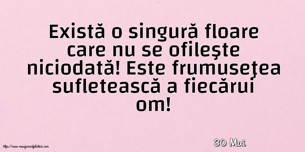 Felicitari de 30 Mai - 30 Mai - Există o singură floare care nu se ofileşte niciodată