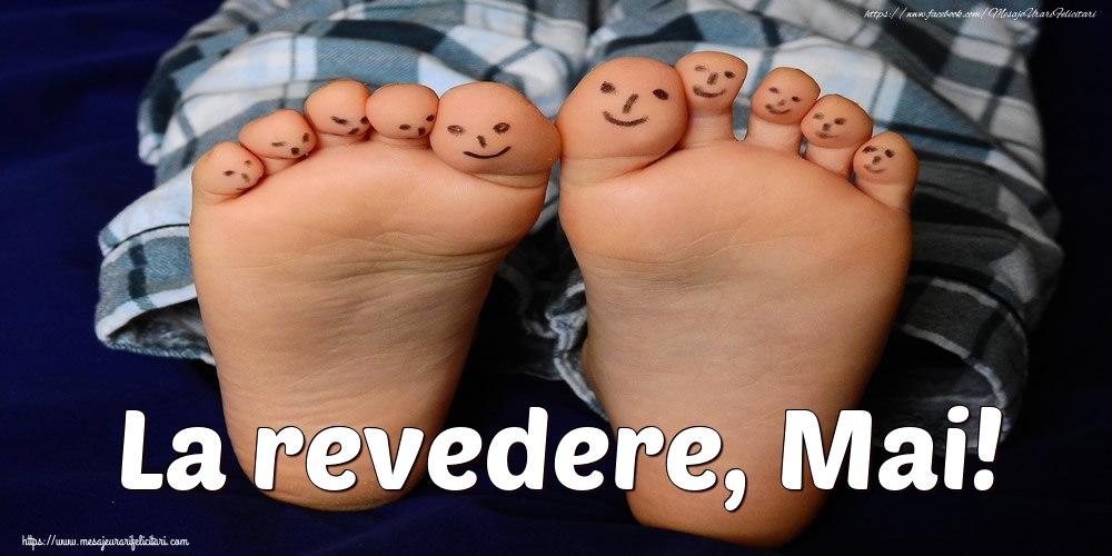 Felicitari de 31 Mai - La revedere, Mai!
