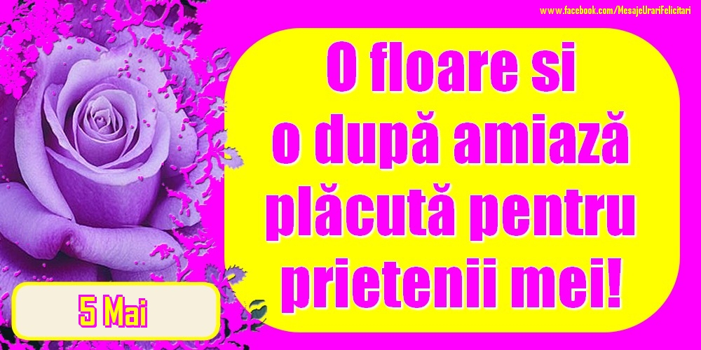 5.Mai - O floare și o după amiază plăcută pentru prietenii mei!