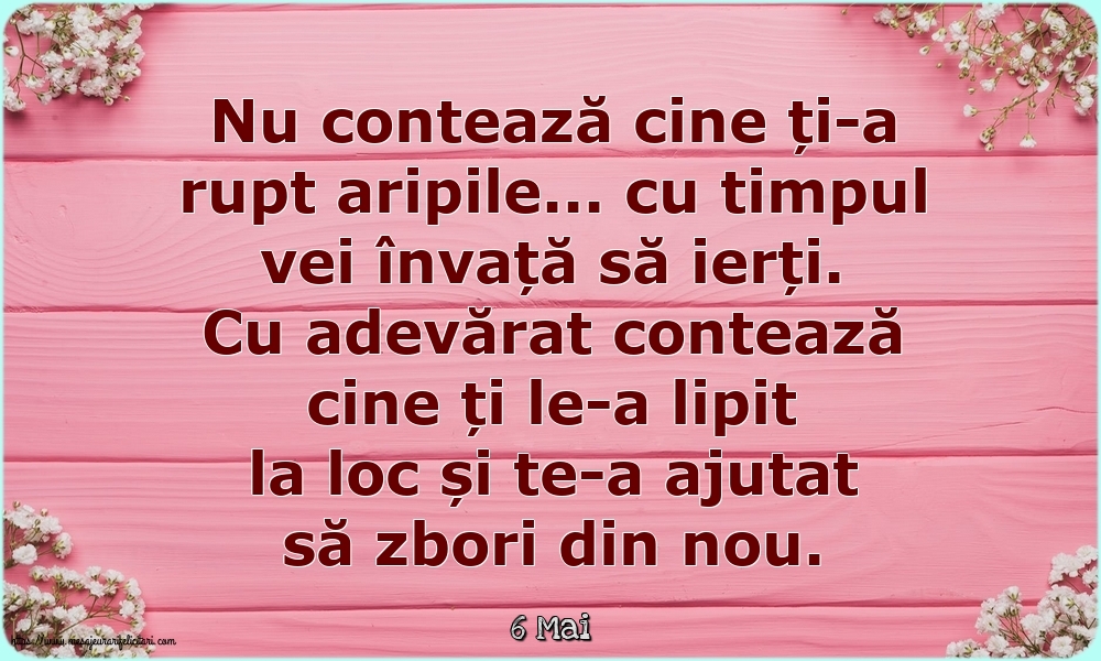 Felicitari de 6 Mai - 6 Mai - Nu contează cine ți-a rupt aripile...