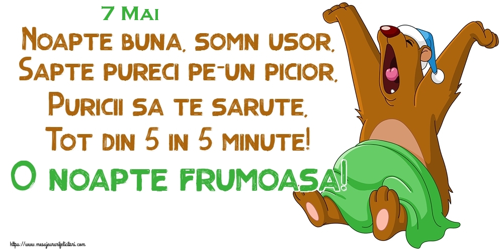 7 Mai - Noapte buna, somn usor, Sapte pureci pe-un picior, Puricii sa te sarute, Tot din 5 in 5 minute! O noapte frumoasa!