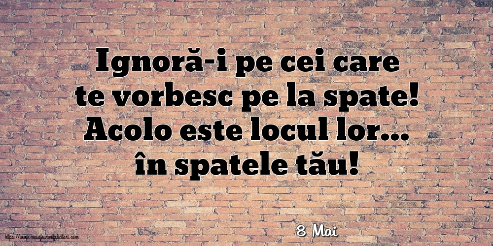 Felicitari de 8 Mai - 8 Mai - Ignoră-i pe cei care te vorbesc pe la spate!