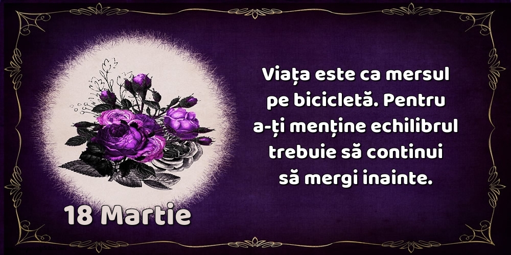 18.Martie Viața este ca mersul pe bicicletă. Pentru a-ți menține echilibrul trebuie să continui să mergi inainte.