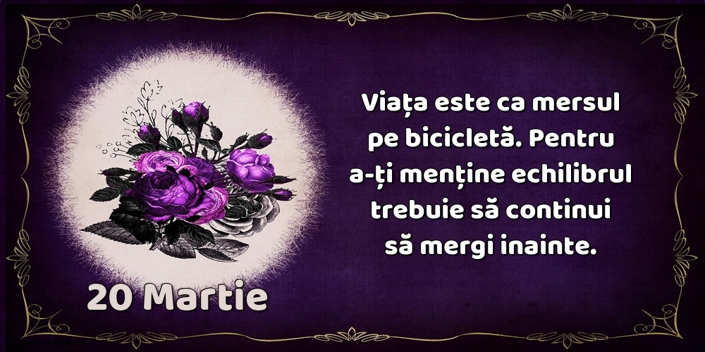 20.Martie Viața este ca mersul pe bicicletă. Pentru a-ți menține echilibrul trebuie să continui să mergi inainte.
