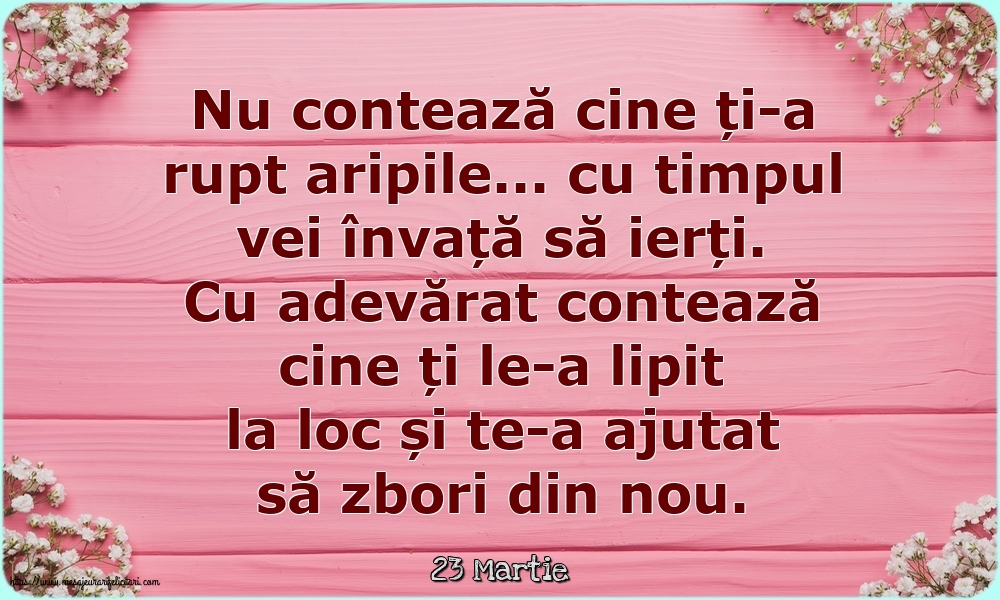 Felicitari de 23 Martie - 23 Martie - Nu contează cine ți-a rupt aripile...