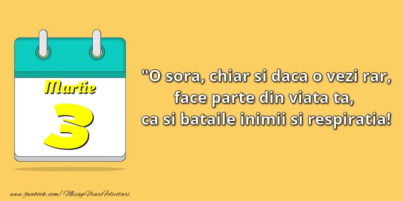 O soră, chiar şi dacă o vezi rar, face parte din viata ta, ca şi bătăile inimii şi respiraţia! 3Martie