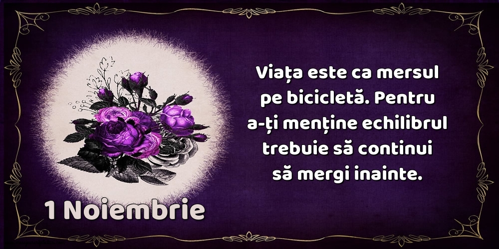 1.Noiembrie Viața este ca mersul pe bicicletă. Pentru a-ți menține echilibrul trebuie să continui să mergi inainte.