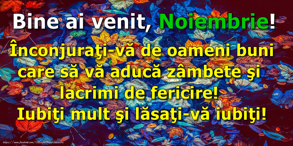 Felicitari de 1 Noiembrie - Bine ai venit, Noiembrie! Înconjuraţi-vă de oameni buni care să vă aducă zâmbete şi lacrimi de fericire! Iubiţi mult şi lăsaţi-vă iubiţi!