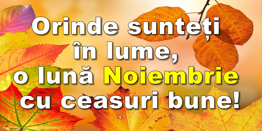 Felicitari de 1 Noiembrie - Orinde sunteți în lume, o lună Noiembrie cu ceasuri bune!