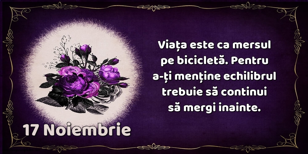 17.Noiembrie Viața este ca mersul pe bicicletă. Pentru a-ți menține echilibrul trebuie să continui să mergi inainte.