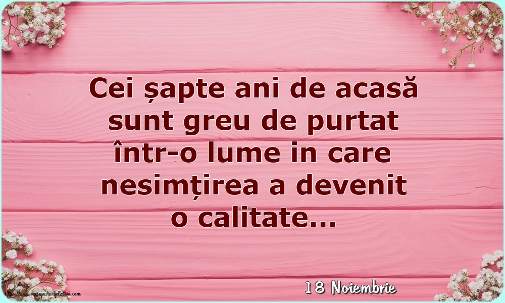 Felicitari de 18 Noiembrie - 18 Noiembrie - Cei șapte ani de acasă