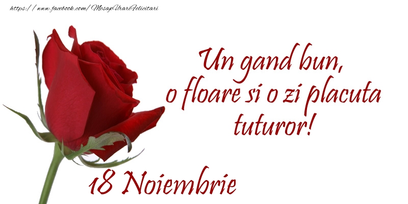 Felicitari de 18 Noiembrie - Un gand bun, o floare si o zi placuta tuturor!