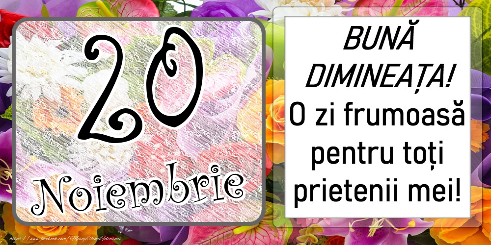 Felicitari de 20 Noiembrie - 20 Noiembrie - BUNĂ DIMINEAȚA! O zi frumoasă pentru toți prietenii mei!