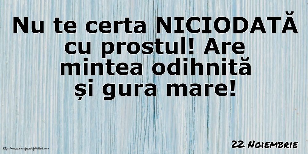 Felicitari de 22 Noiembrie - 22 Noiembrie - Nu te certa NICIODATĂ cu prostul!