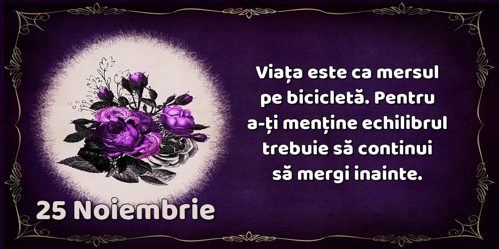 25.Noiembrie Viața este ca mersul pe bicicletă. Pentru a-ți menține echilibrul trebuie să continui să mergi inainte.