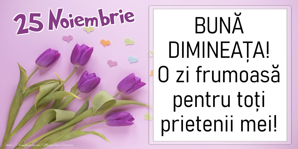 Felicitari de 25 Noiembrie - 25 Noiembrie - BUNĂ DIMINEAȚA! O zi frumoasă pentru toți prietenii mei!