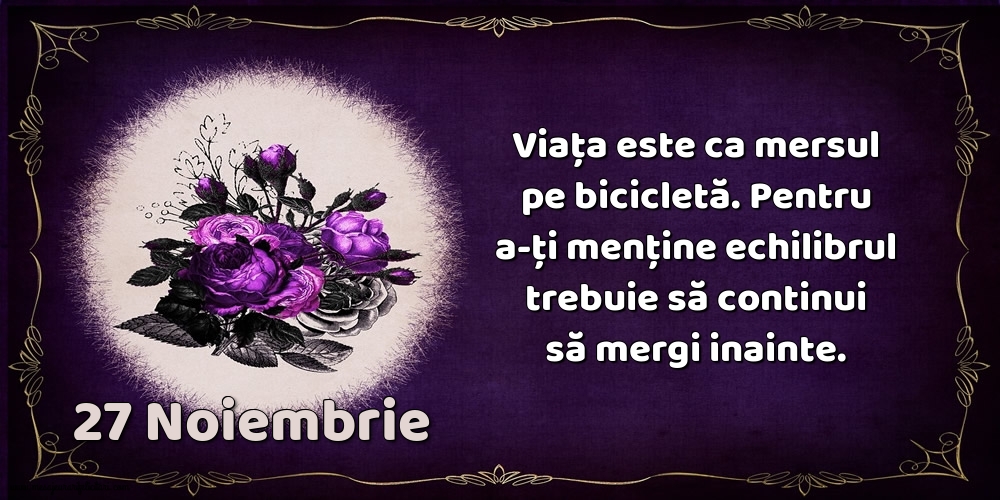 27.Noiembrie Viața este ca mersul pe bicicletă. Pentru a-ți menține echilibrul trebuie să continui să mergi inainte.