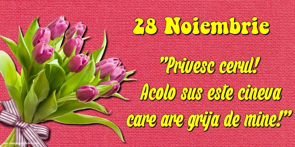 28.Noiembrie Privesc cerul! Acolo sus este cineva care are grija de mine!