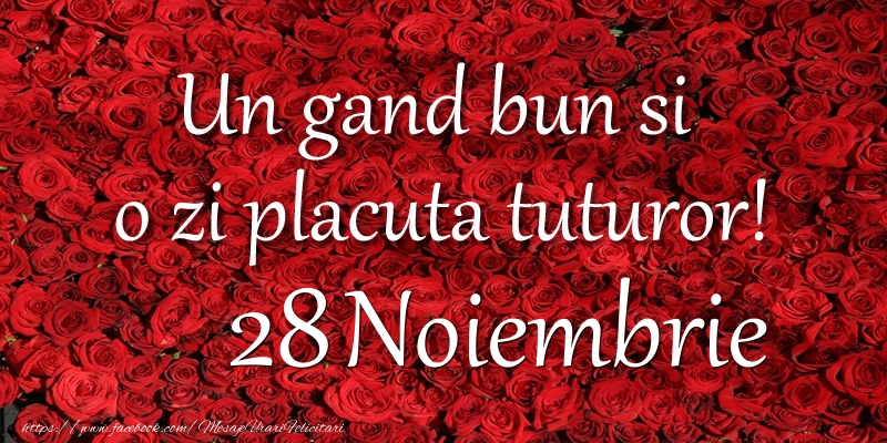 Un gand bun si  o zi placuta tuturor! Noiembrie 28