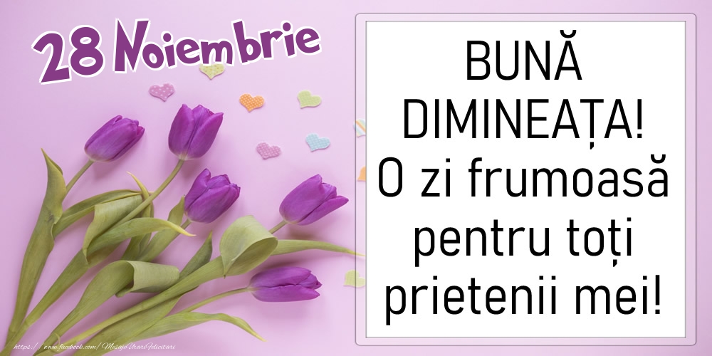 28 Noiembrie - BUNĂ DIMINEAȚA! O zi frumoasă pentru toți prietenii mei!