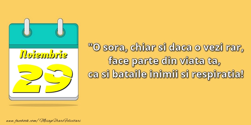 O soră, chiar şi dacă o vezi rar, face parte din viata ta, ca şi bătăile inimii şi respiraţia! 29Noiembrie