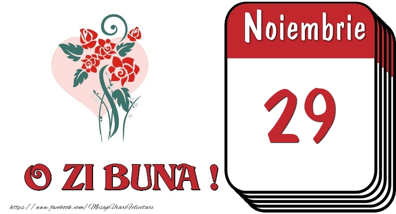 Noiembrie 29 O zi buna