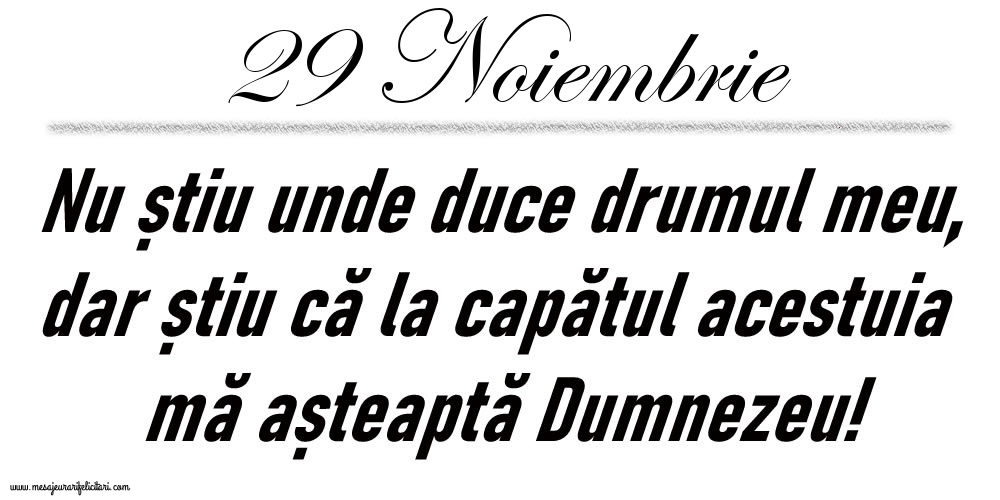29 Noiembrie Nu știu unde duce drumul meu...