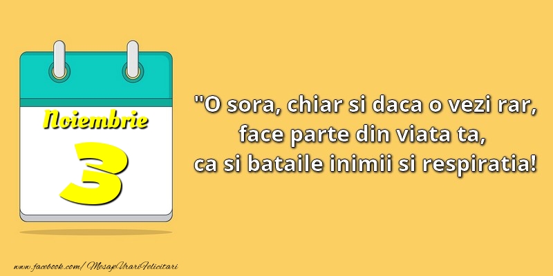 O soră, chiar şi dacă o vezi rar, face parte din viata ta, ca şi bătăile inimii şi respiraţia! 3Noiembrie