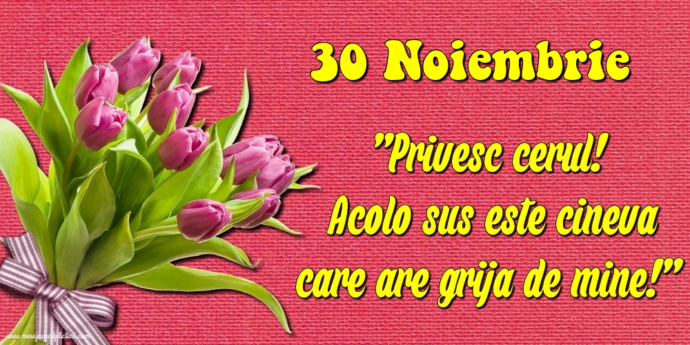 Felicitari de 30 Noiembrie - 30.Noiembrie Privesc cerul! Acolo sus este cineva care are grija de mine!