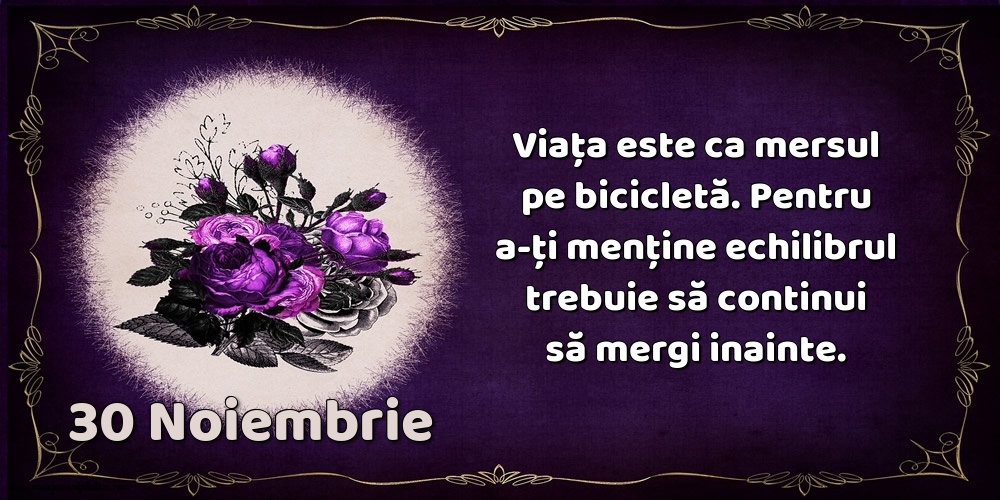 30.Noiembrie Viața este ca mersul pe bicicletă. Pentru a-ți menține echilibrul trebuie să continui să mergi inainte.