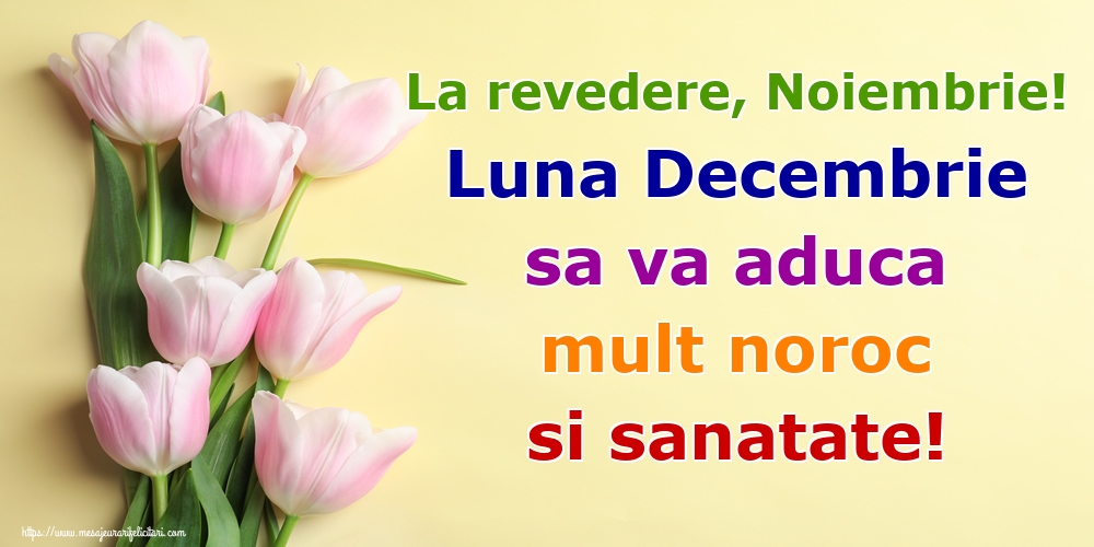 La revedere, Noiembrie! Luna Decembrie sa va aduca mult noroc si sanatate!