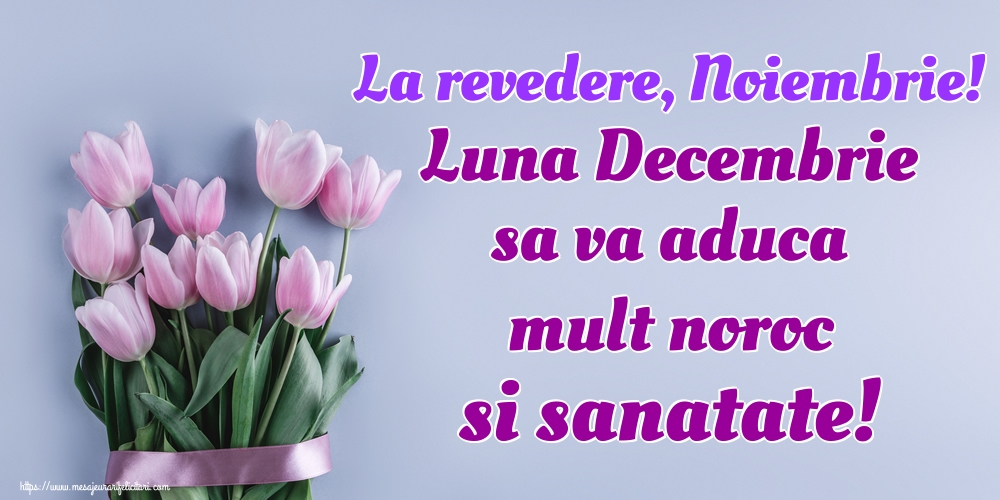 La revedere, Noiembrie! Luna Decembrie sa va aduca mult noroc si sanatate!