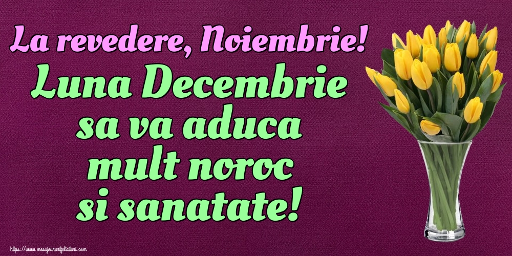 La revedere, Noiembrie! Luna Decembrie sa va aduca mult noroc si sanatate!