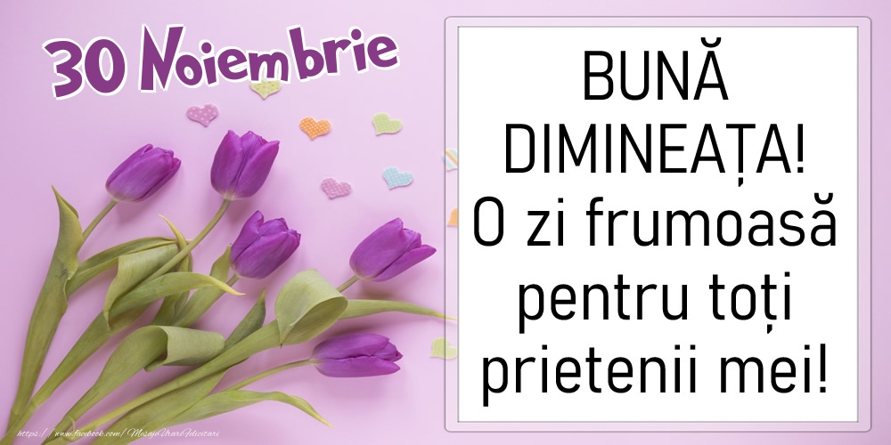 Felicitari de 30 Noiembrie - 30 Noiembrie - BUNĂ DIMINEAȚA! O zi frumoasă pentru toți prietenii mei!