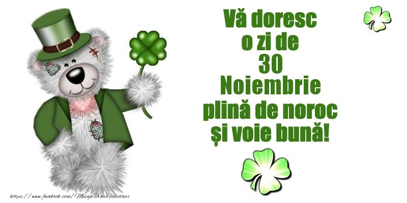 Felicitari de 30 Noiembrie - Vă doresc o zi de Noiembrie 30 plină de noroc și voie bună!
