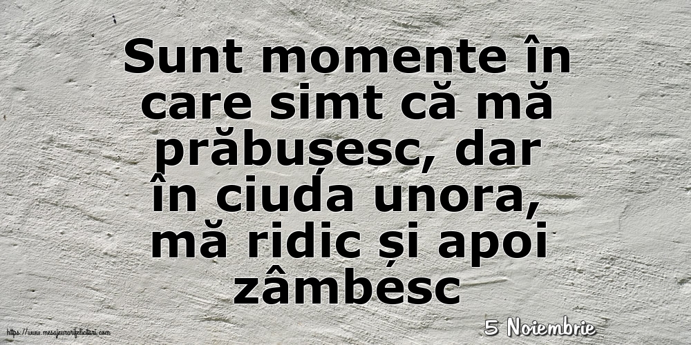 Felicitari de 5 Noiembrie - 5 Noiembrie - Sunt momente în care simt că mă prăbușesc