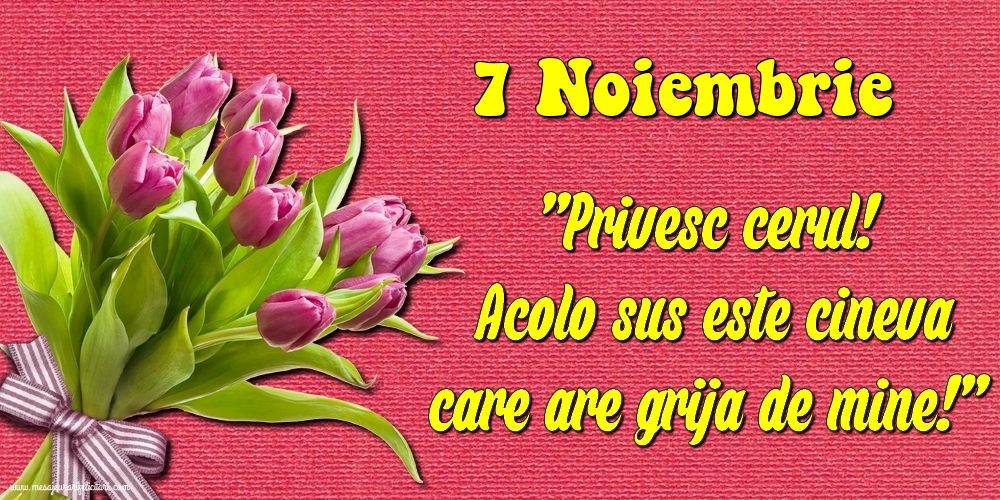 Felicitari de 7 Noiembrie - 7.Noiembrie Privesc cerul! Acolo sus este cineva care are grija de mine!