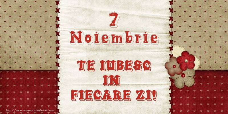 Astazi este 7 Noiembrie si vreau sa-ti amintesc ca te iubesc!