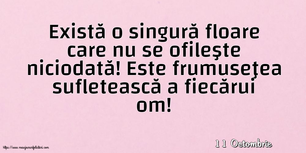 Felicitari de 11 Octombrie - 11 Octombrie - Există o singură floare care nu se ofileşte niciodată