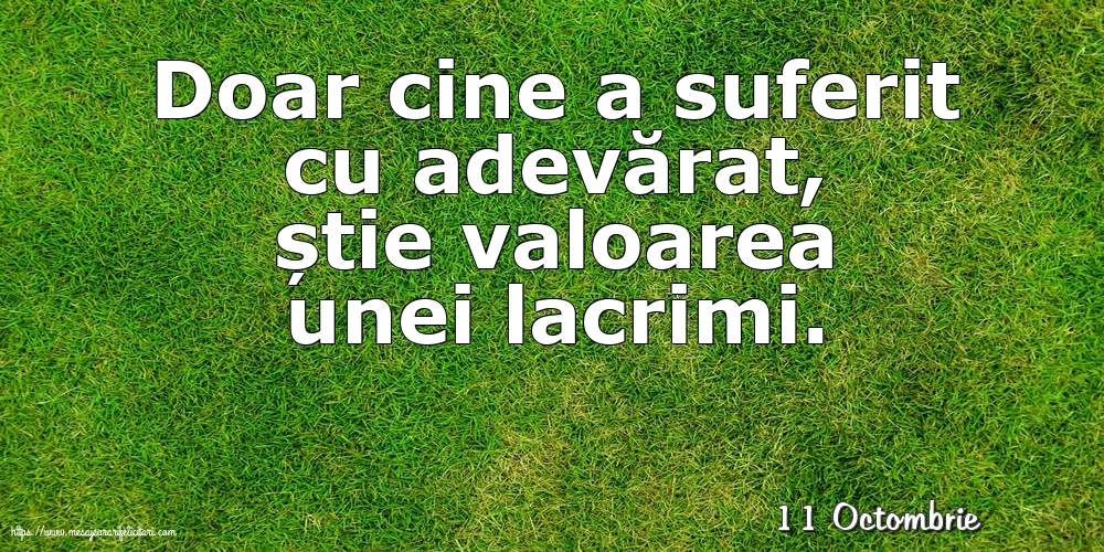 Felicitari de 11 Octombrie - 11 Octombrie - Doar cine a suferit cu adevărat