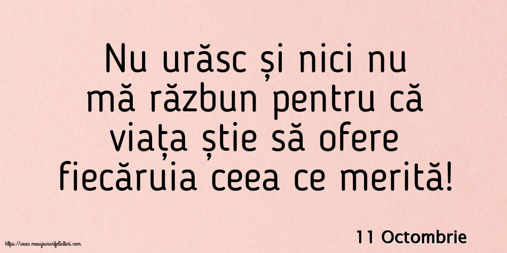11 Octombrie - Nu urăsc și nici nu mă răzbun