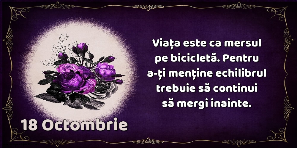 18.Octombrie Viața este ca mersul pe bicicletă. Pentru a-ți menține echilibrul trebuie să continui să mergi inainte.
