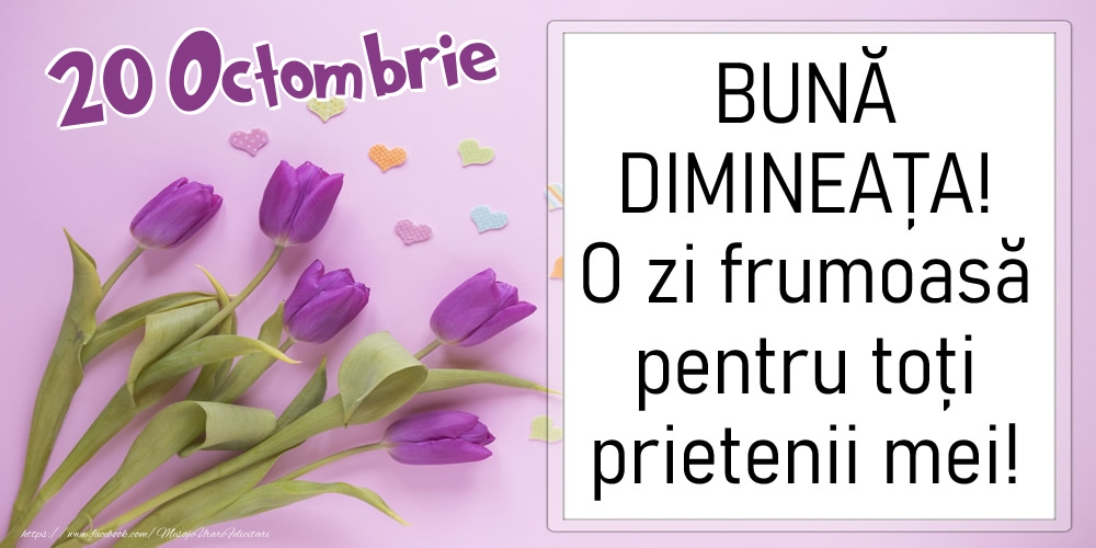 20 Octombrie - BUNĂ DIMINEAȚA! O zi frumoasă pentru toți prietenii mei!