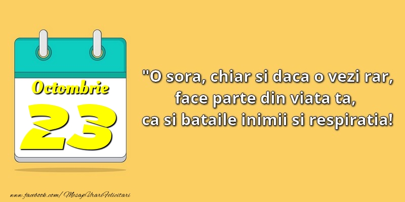 O soră, chiar şi dacă o vezi rar, face parte din viata ta, ca şi bătăile inimii şi respiraţia! 23Octombrie