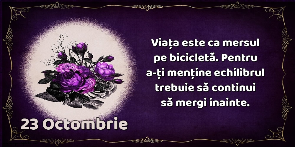 23.Octombrie Viața este ca mersul pe bicicletă. Pentru a-ți menține echilibrul trebuie să continui să mergi inainte.