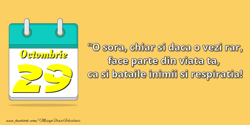O soră, chiar şi dacă o vezi rar, face parte din viata ta, ca şi bătăile inimii şi respiraţia! 29Octombrie